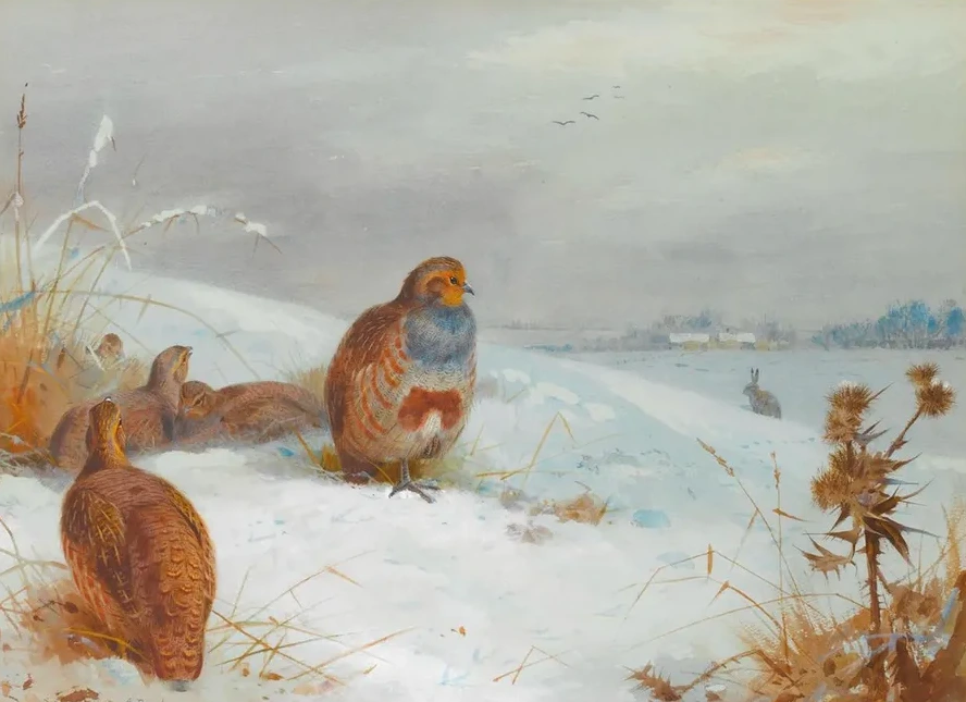Hard Times Partridges And A Hare