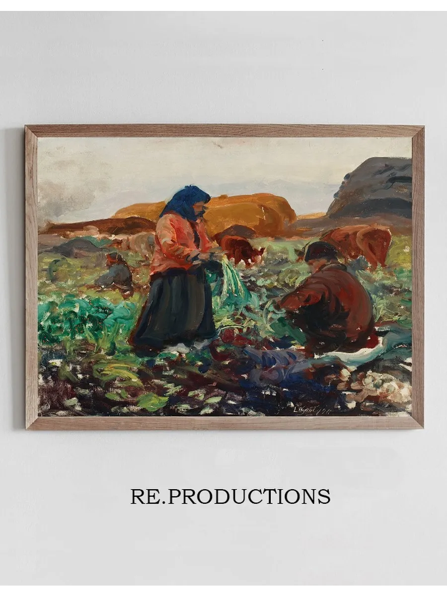 Harvesting beetroots II