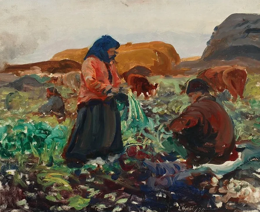 Harvesting beetroots II