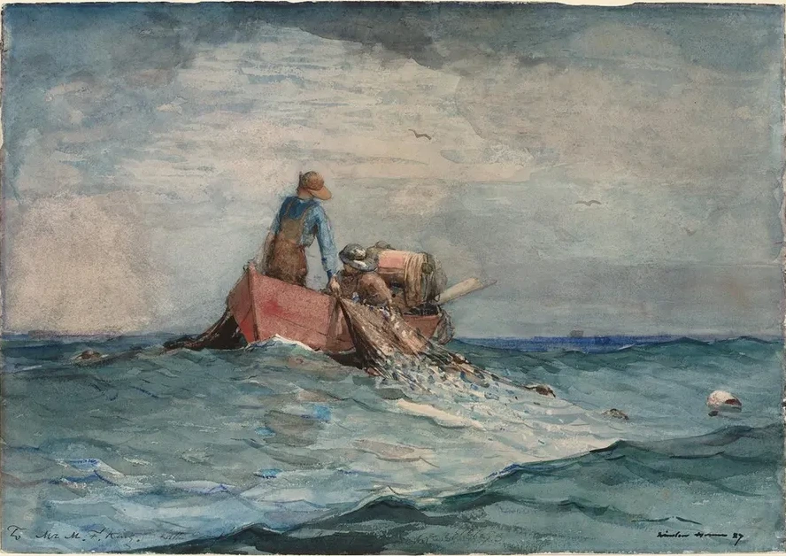 Hauling in the Nets