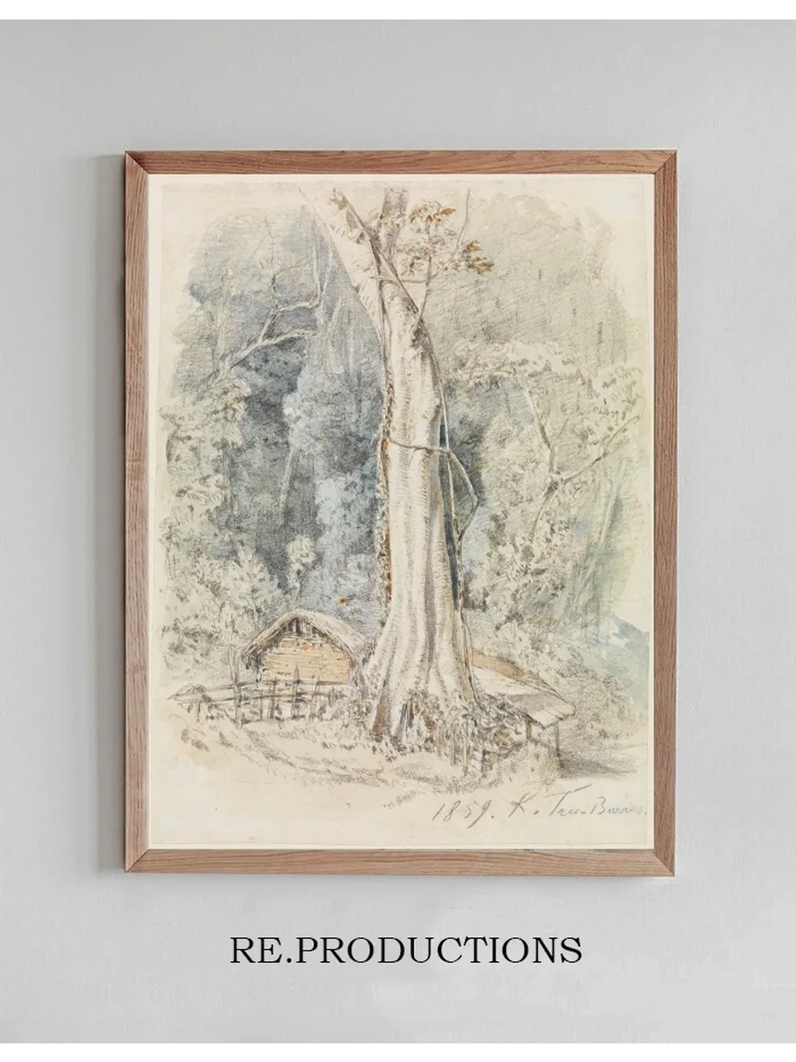 Haus mit Unterstand im Urwald bei Tres - Barras
