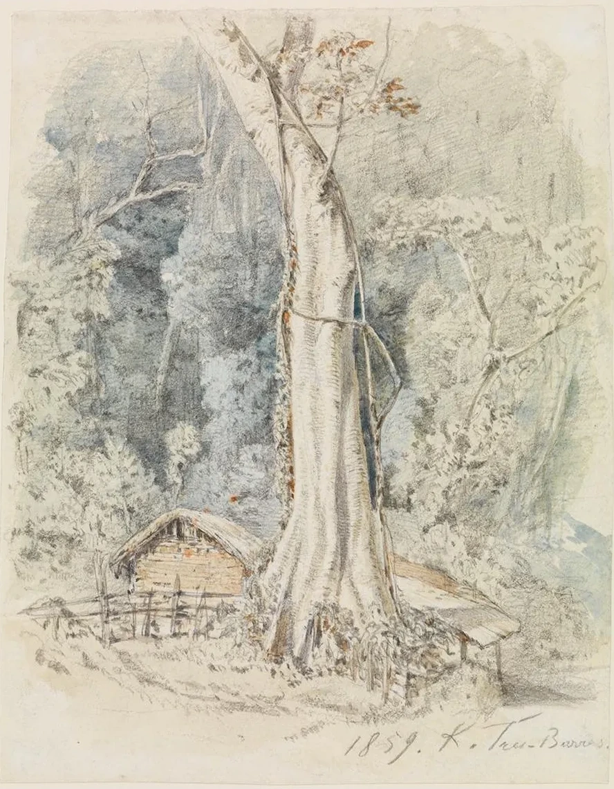 Haus mit Unterstand im Urwald bei Tres - Barras