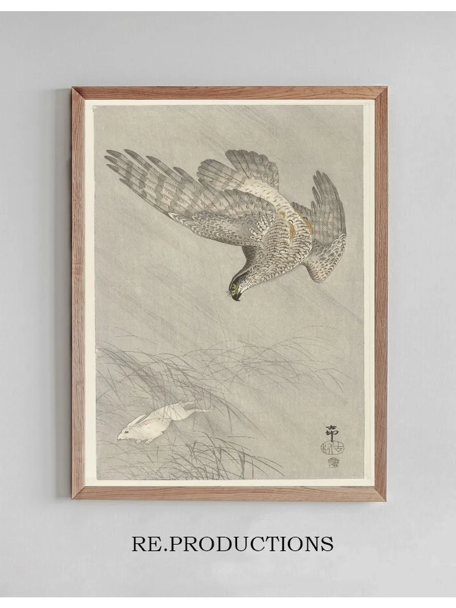 Hawk Hunting for Hare