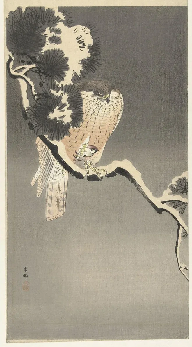 Hawk with Sparrow