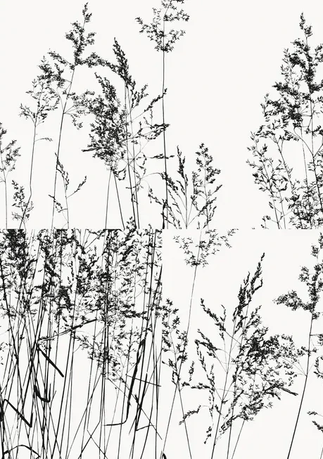 Hay Field