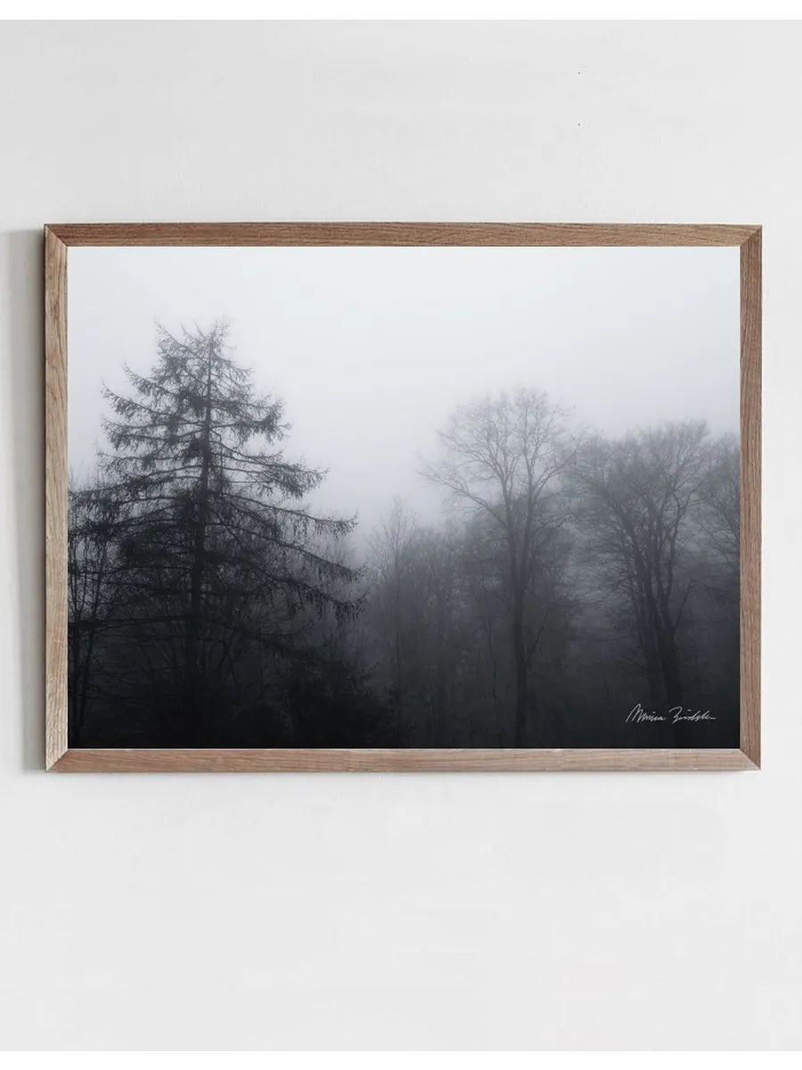 Hazy Day