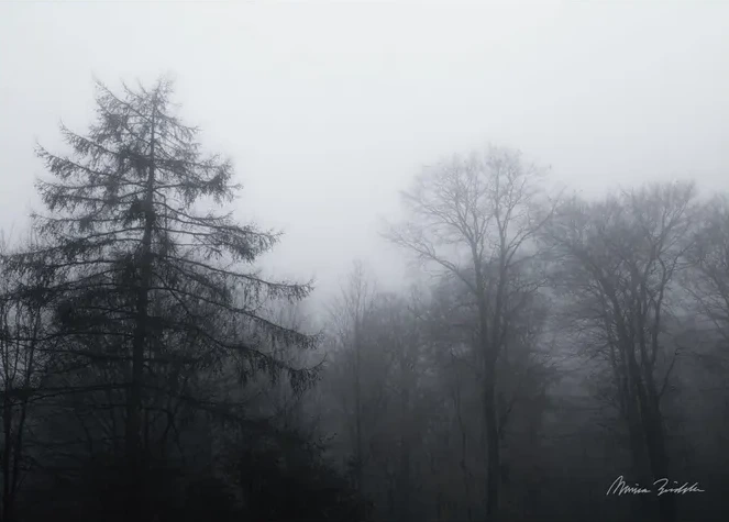 Hazy Day
