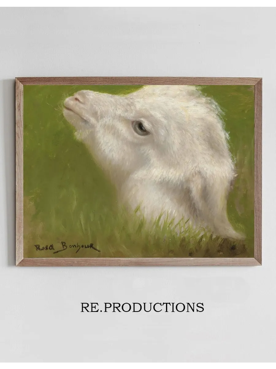 Head Of A Lamb
