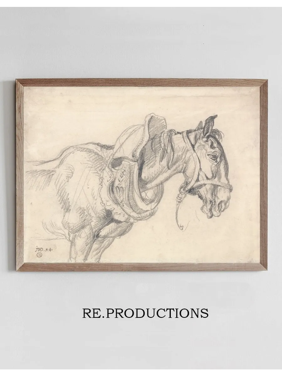 Head and Shoulders of a Cart Horse