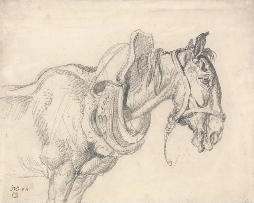Head and Shoulders of a Cart Horse