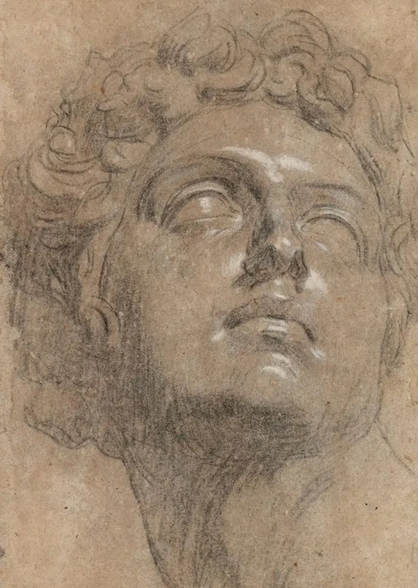 Head of Giuliano de Medici, After Michelangelo