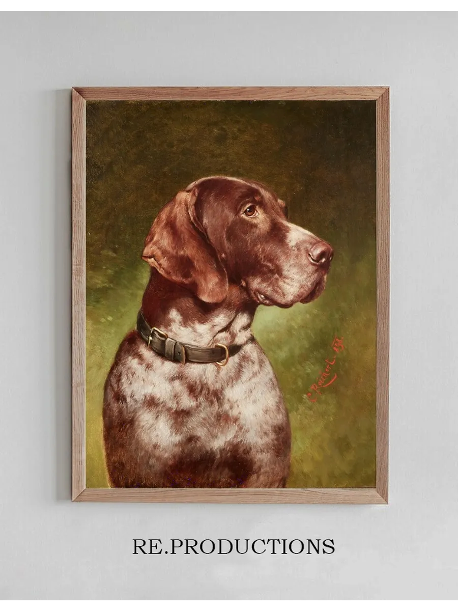 Head of a German Shorthaired Pointer