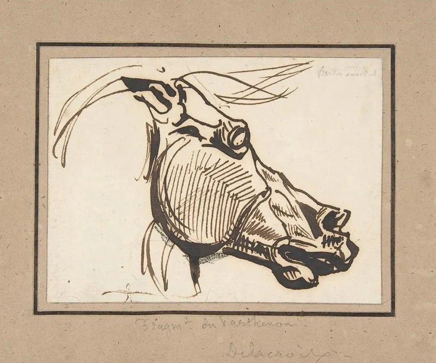 Head of a Horse, After the Parthenon