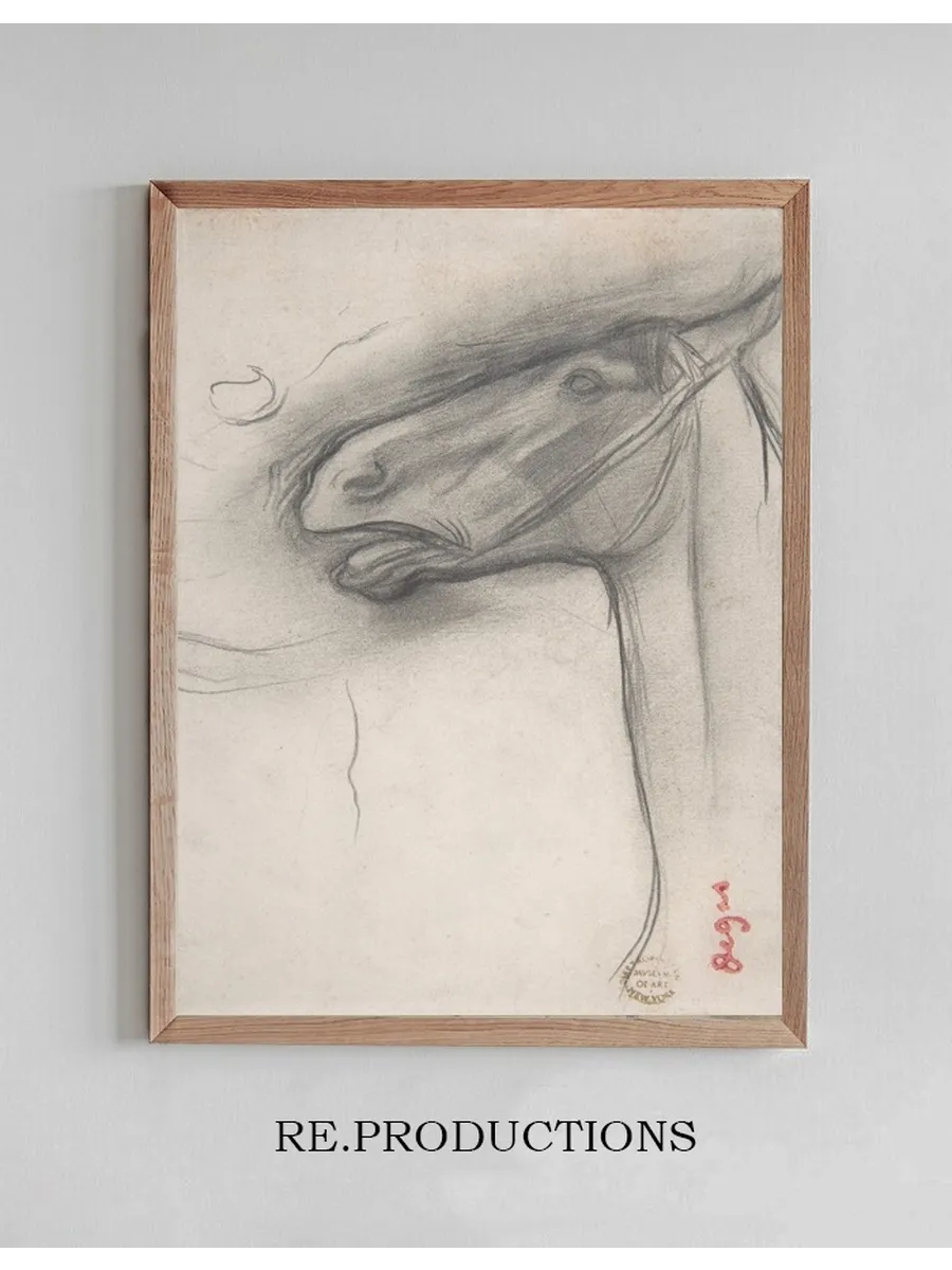 Head of a Horse