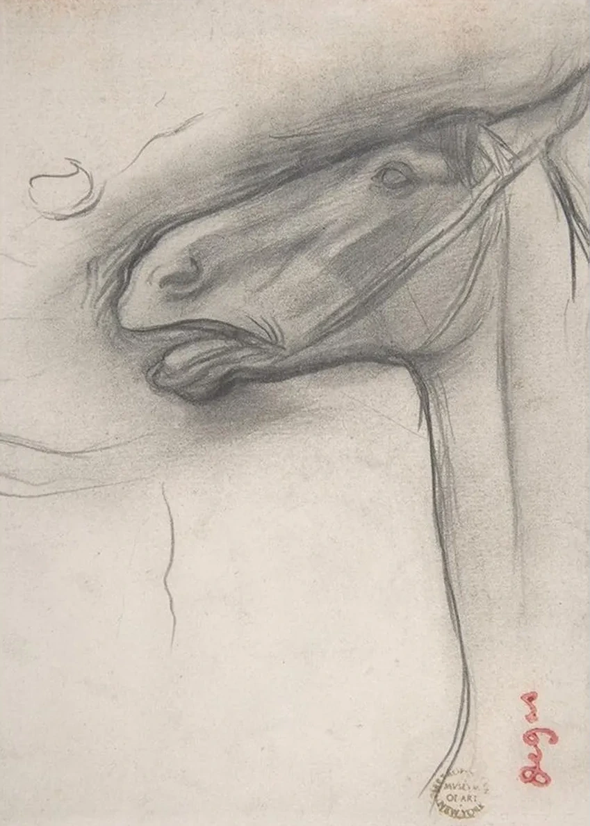 Head of a Horse