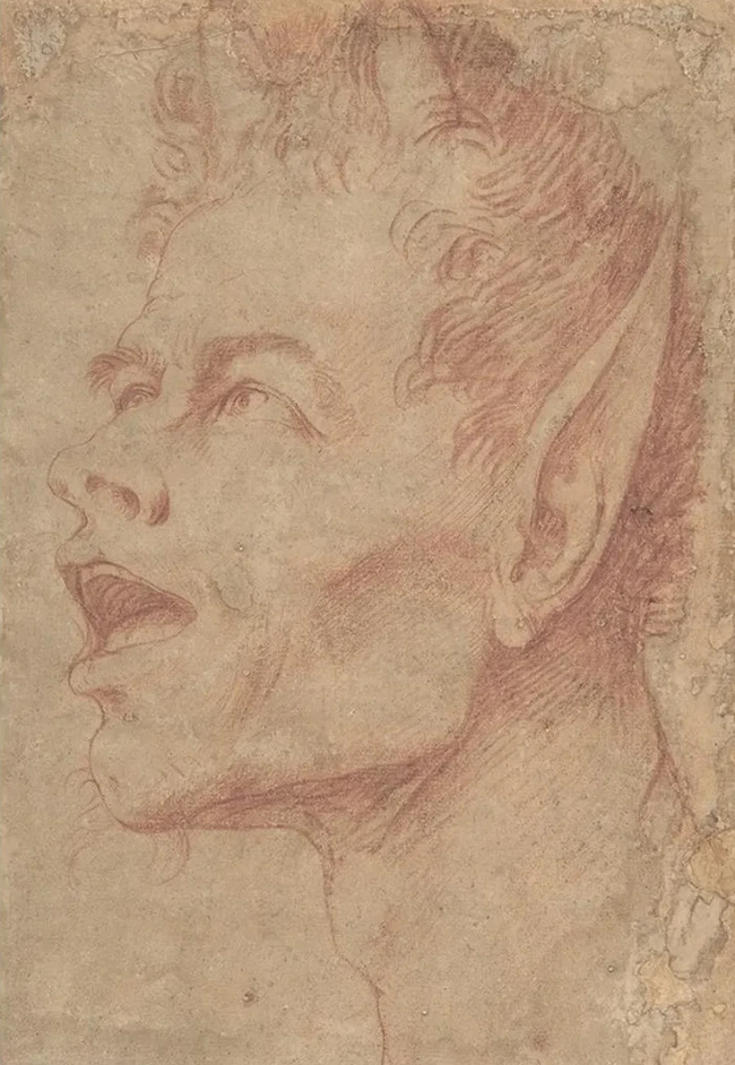 Head of a Satyr Facing Left
