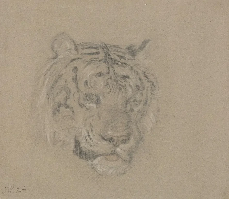 Head of a Tiger