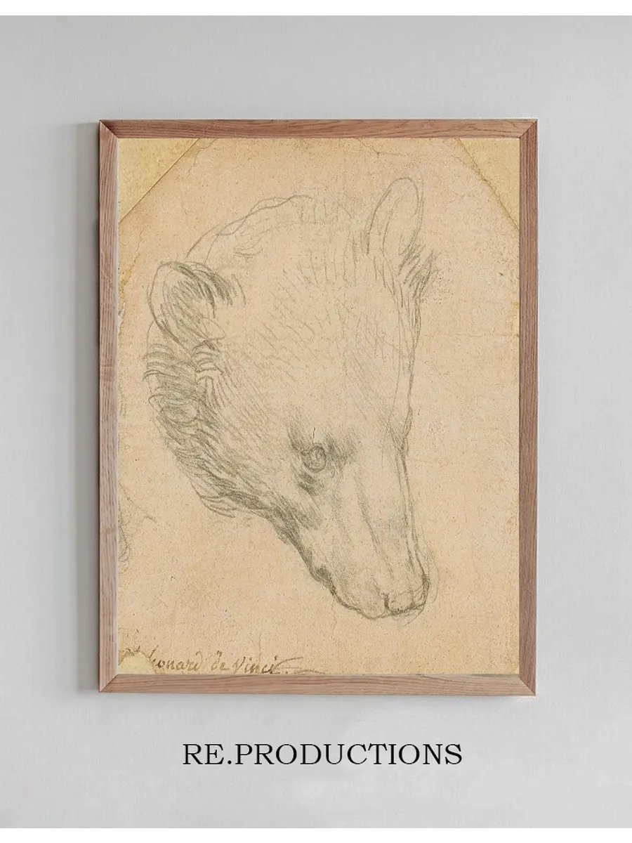 Head of a Bear