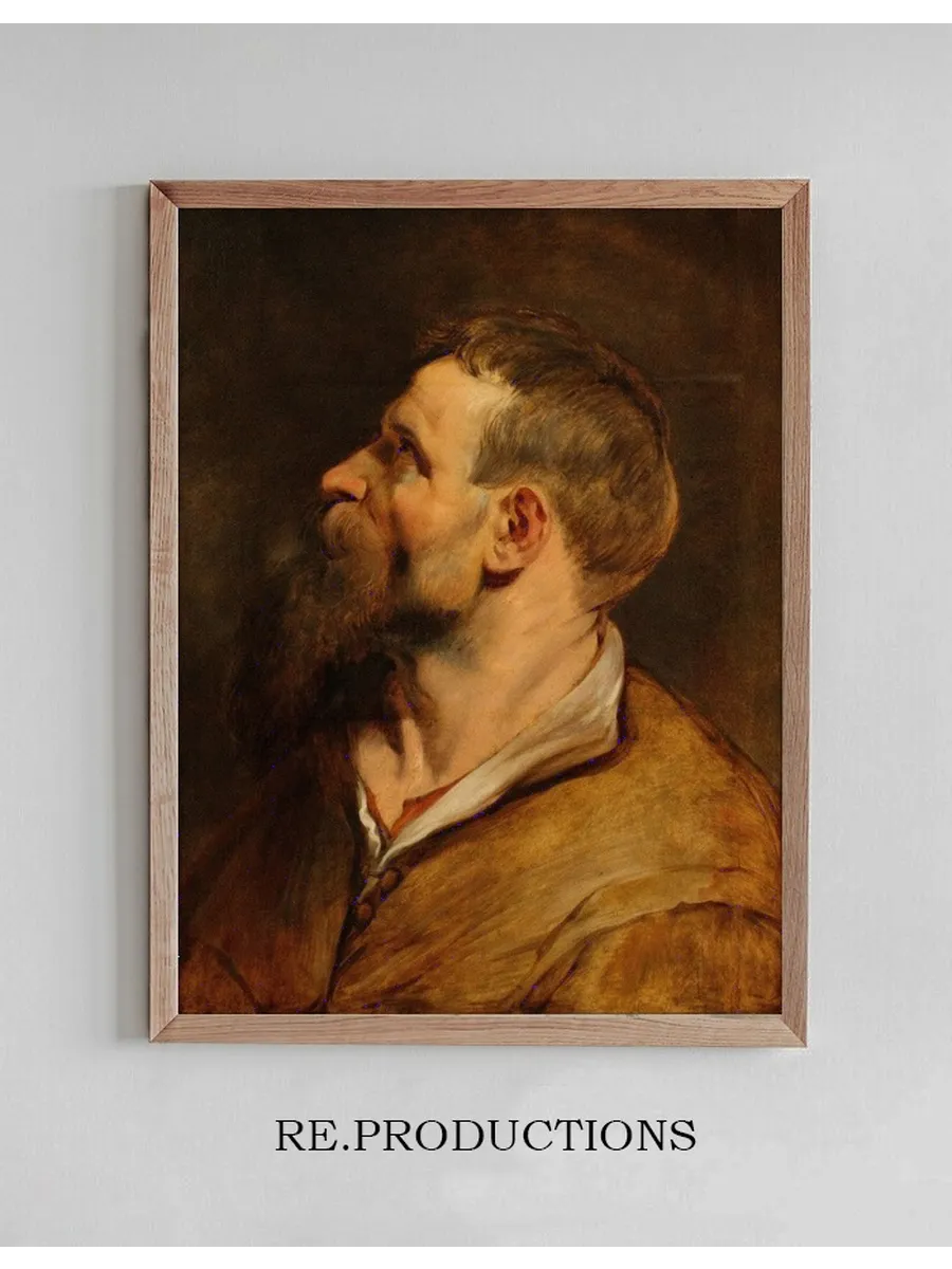 Head of a Bearded Man