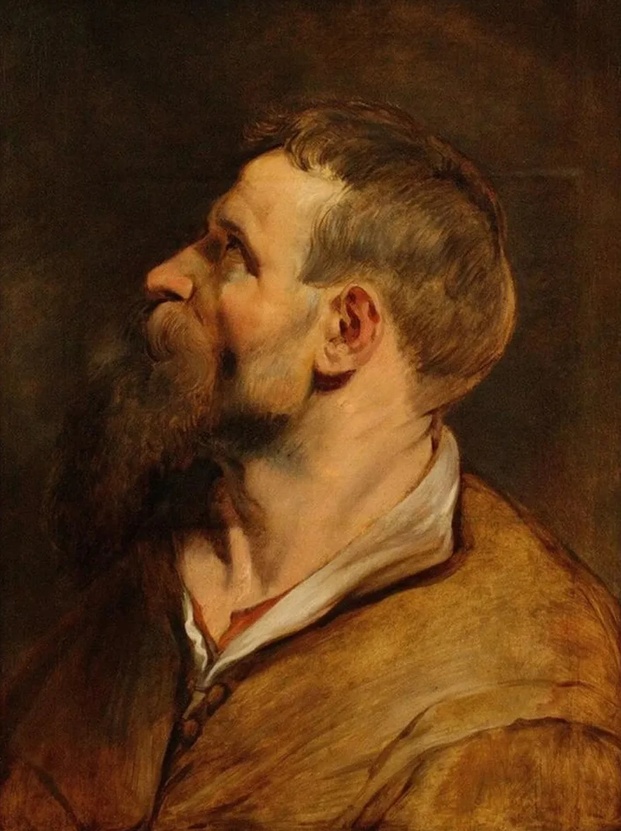 Head of a Bearded Man