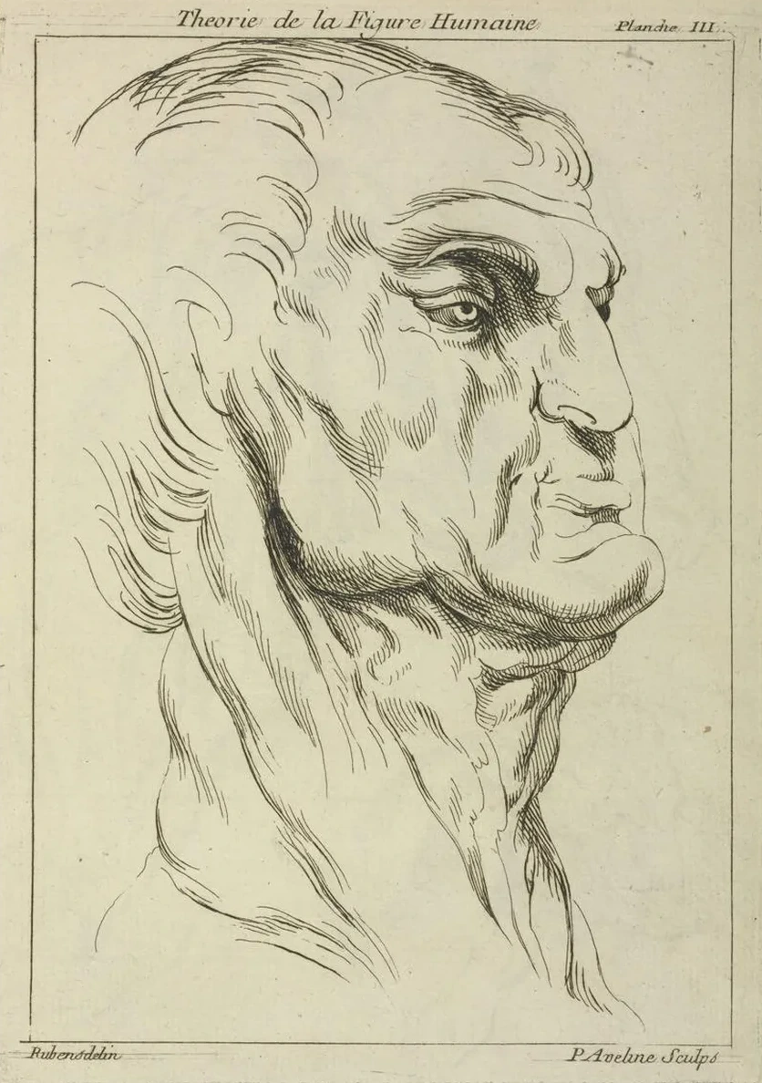 Head of a Man