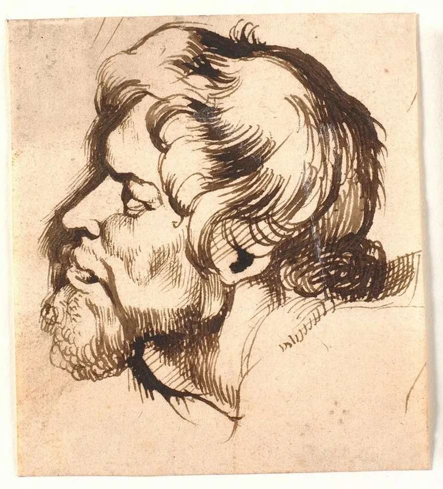 Head of a Man