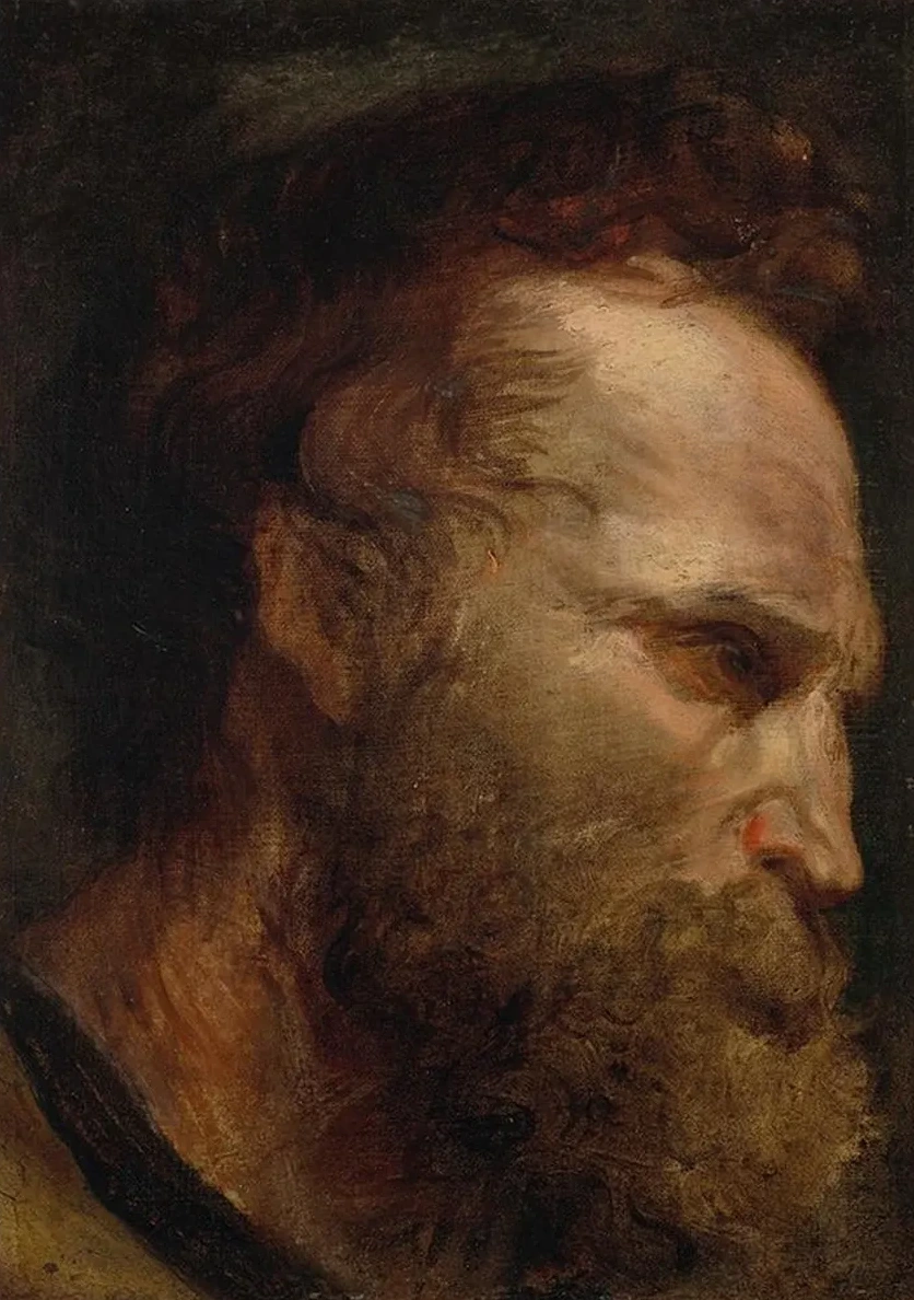 Head Study of a Bearded Man