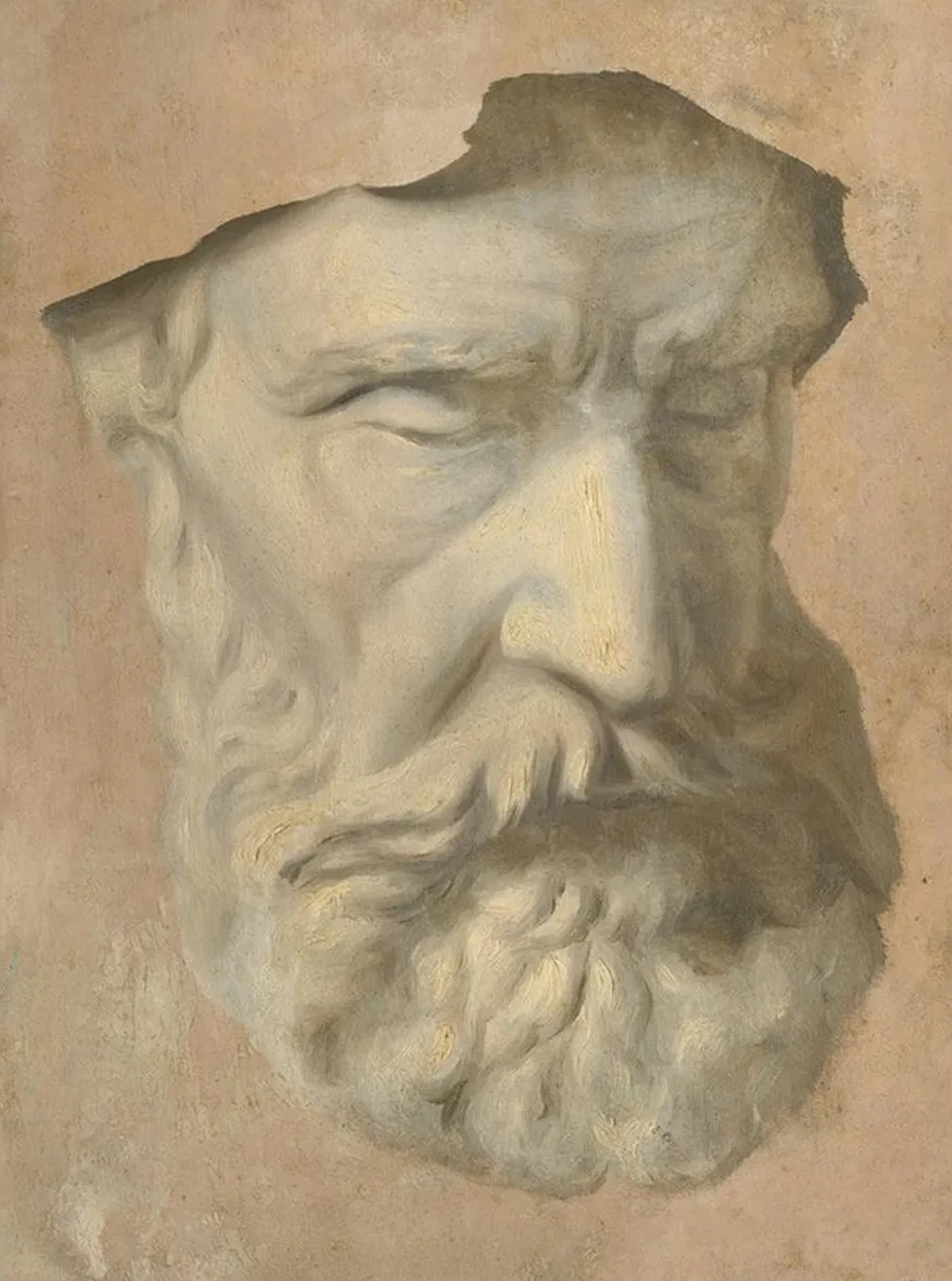 Head Study