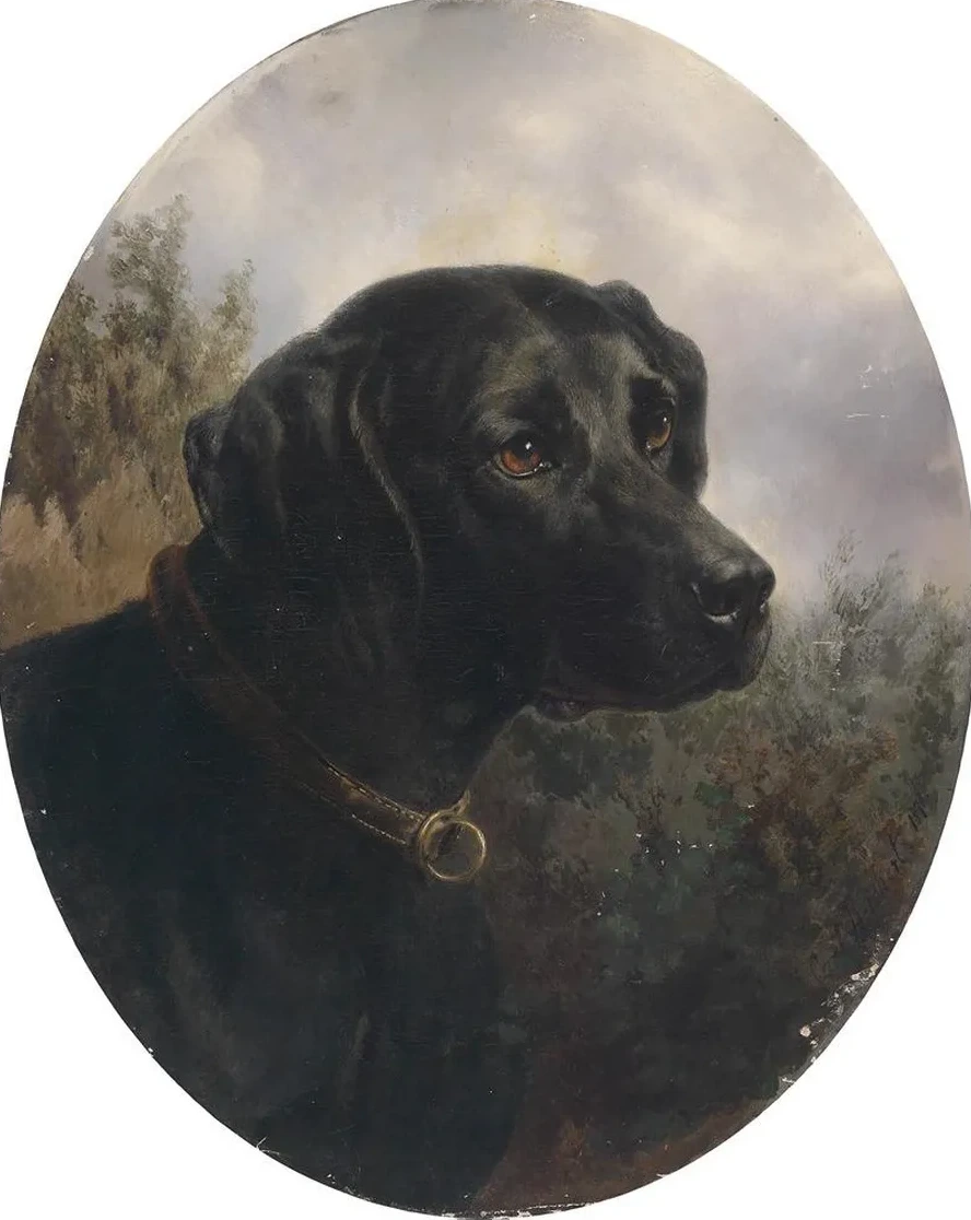 Hector