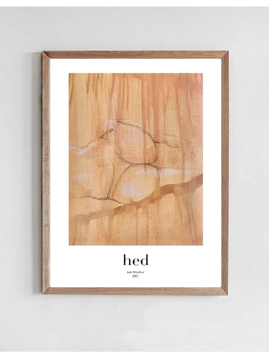 Hed