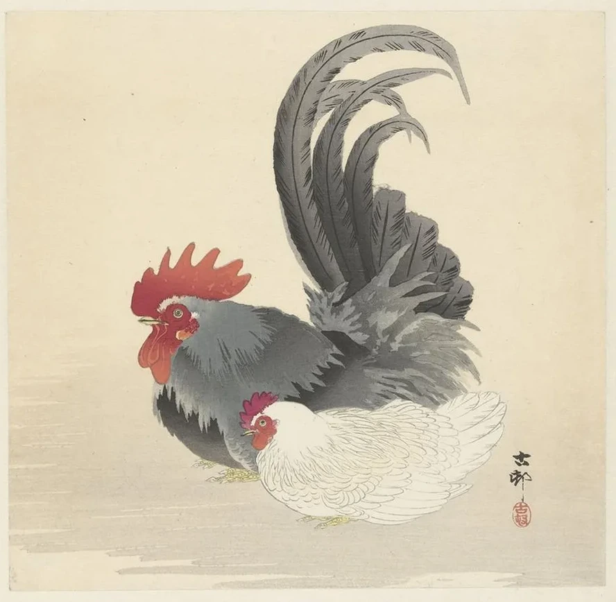 Hen and Rooster