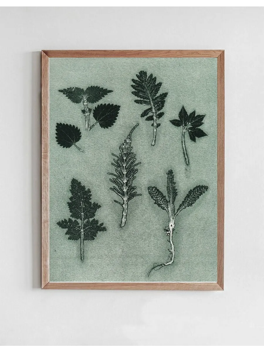 Herbs & Seaweed - Dark Green