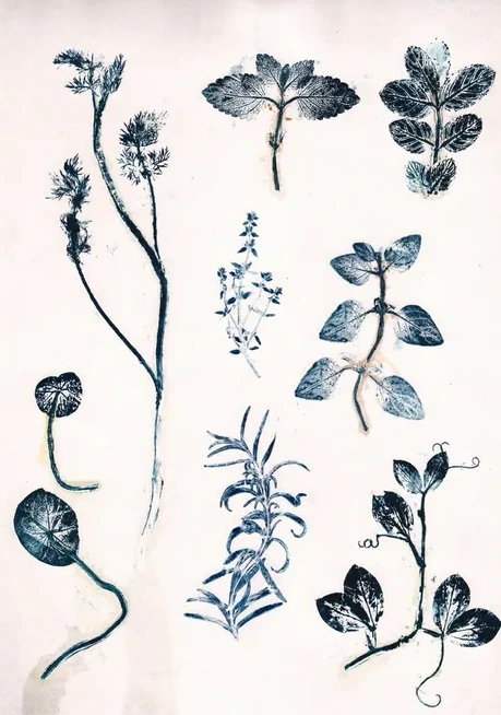 Herbs & Seaweed - Garden Herb Blue