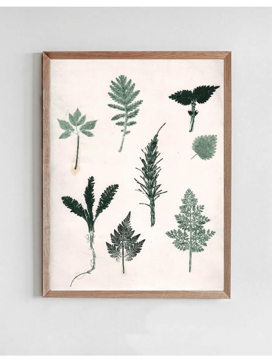 Herbs & Seaweed