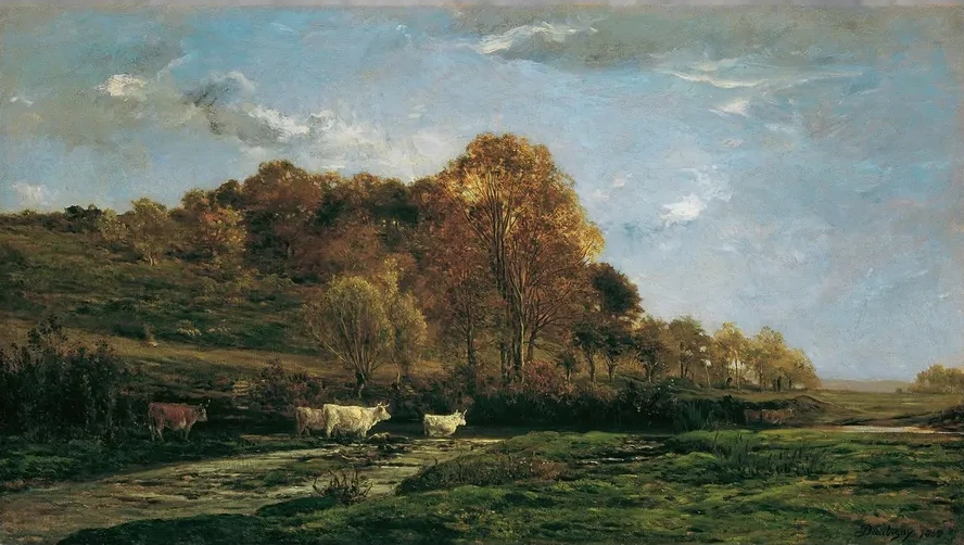 Herbstliche Aulandschaft Abendstimmung
