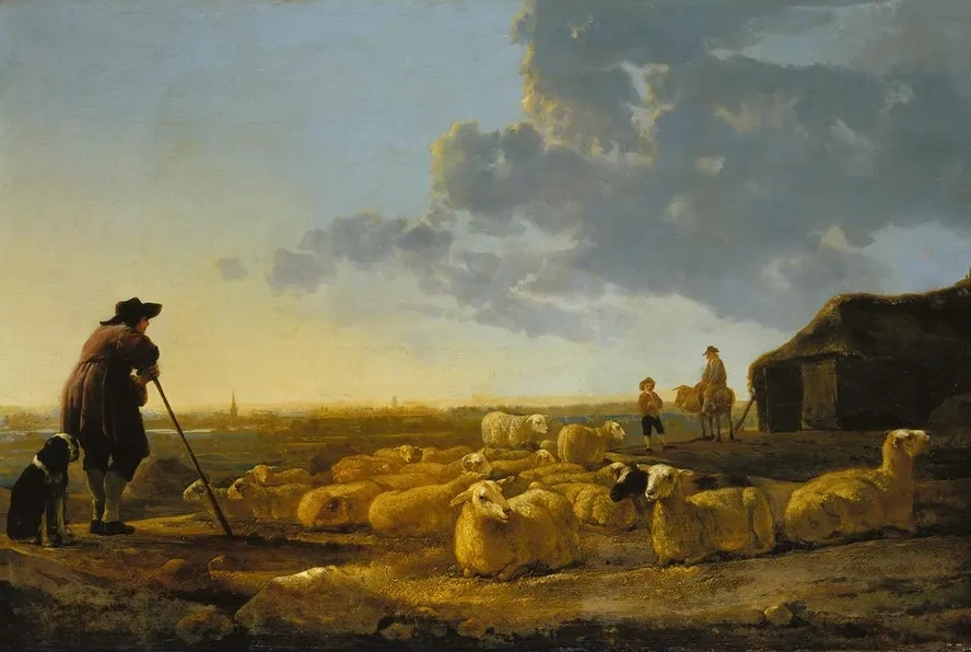 Herd of Sheep at Pasture