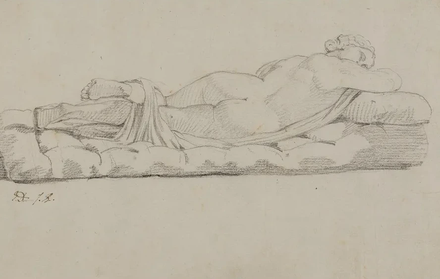 Hermaphrodite