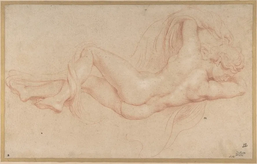 Hermaphrodite