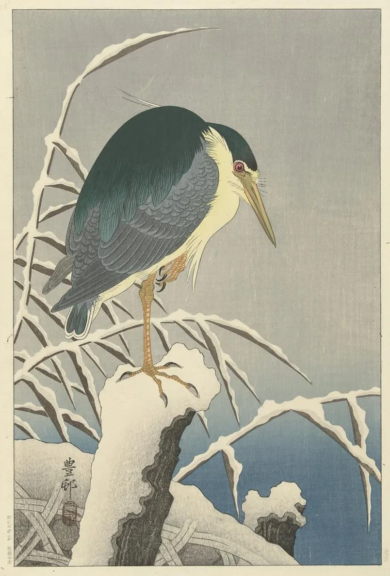 Heron in Snow