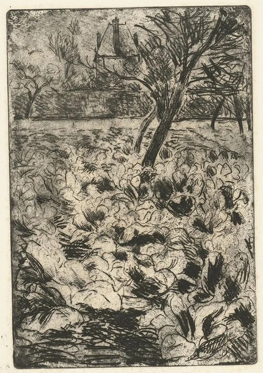 Het Knollenveld