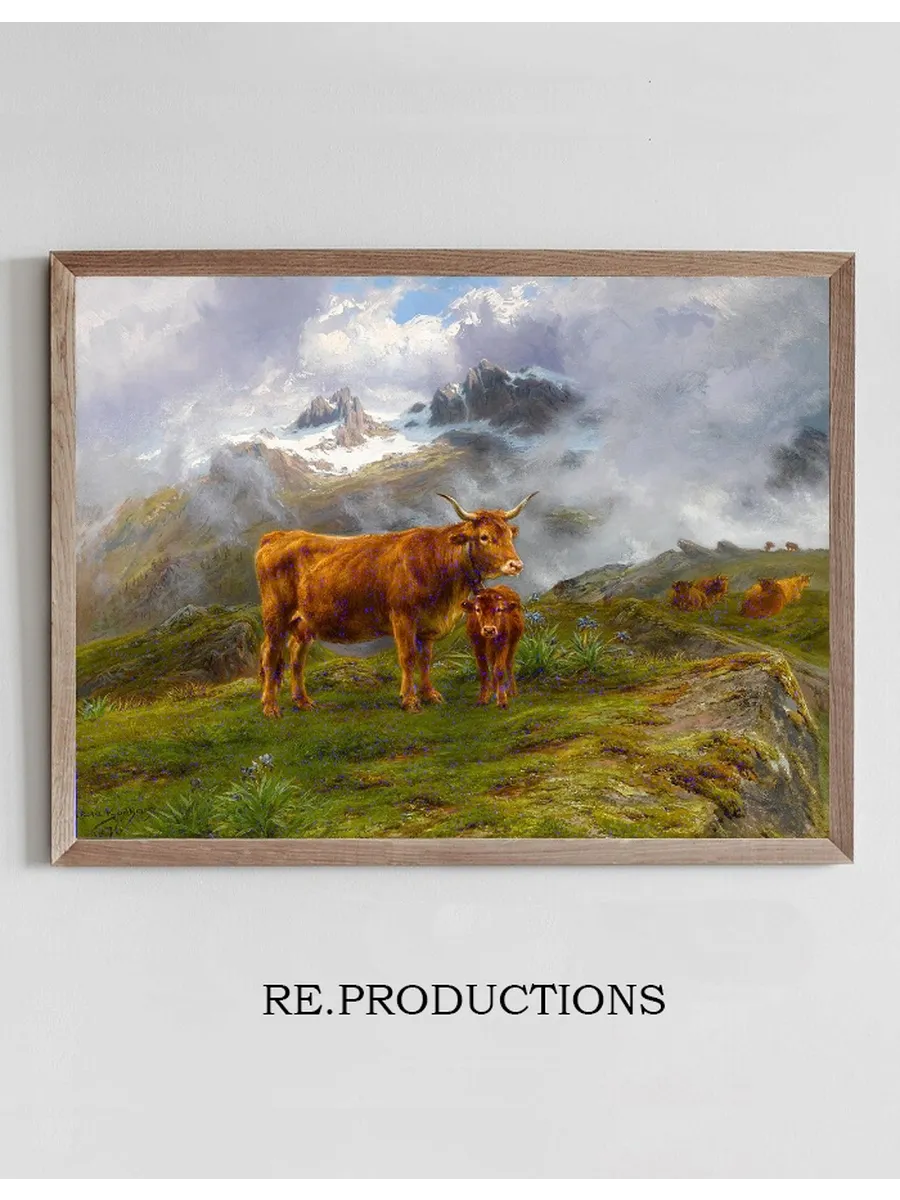 Highland Cattle
