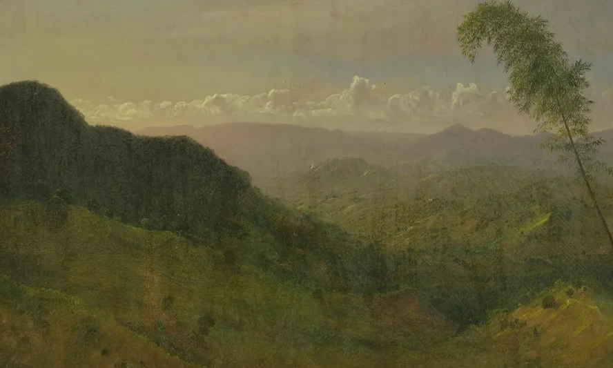 Hilly Landscape