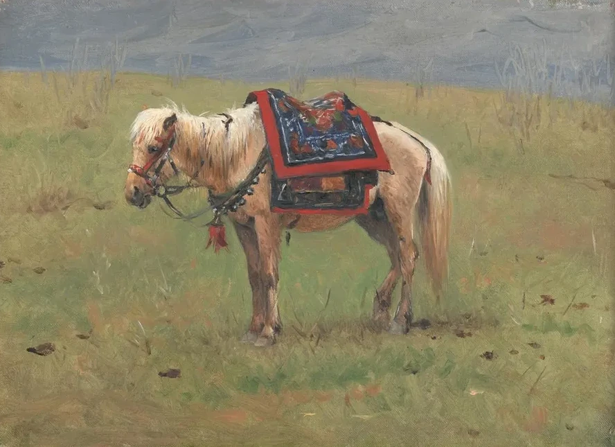 Himalayan Ponies