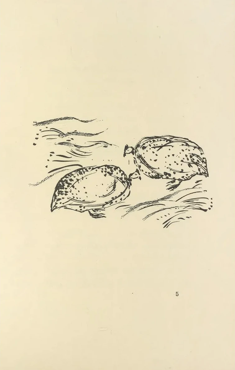 Histoires Naturelles Pl 10