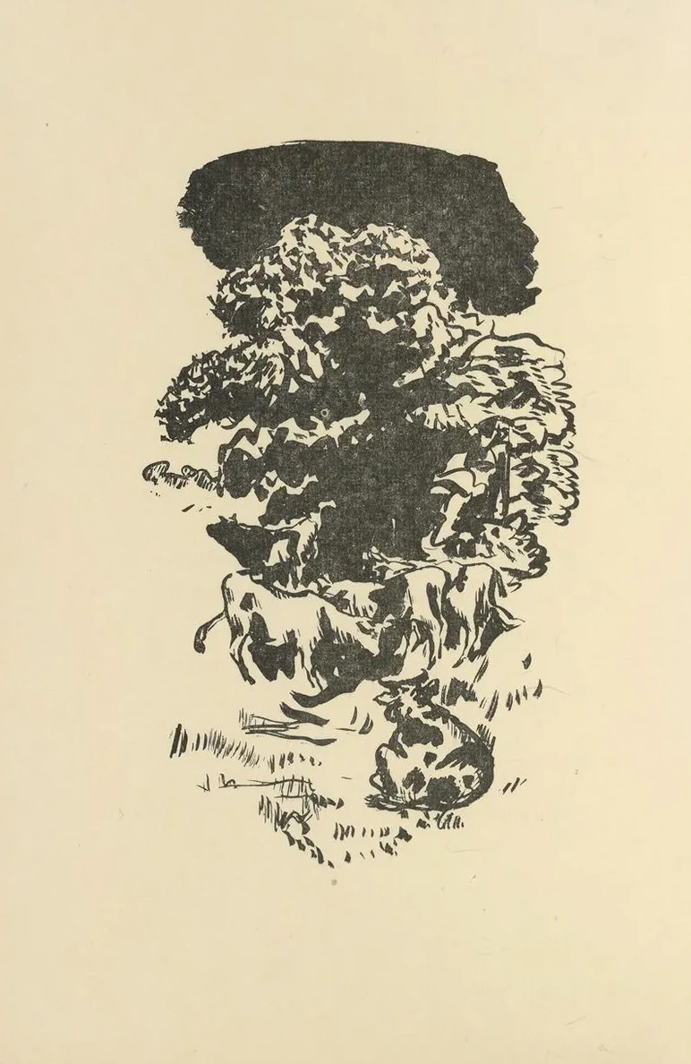 Histoires Naturelles Pl 19