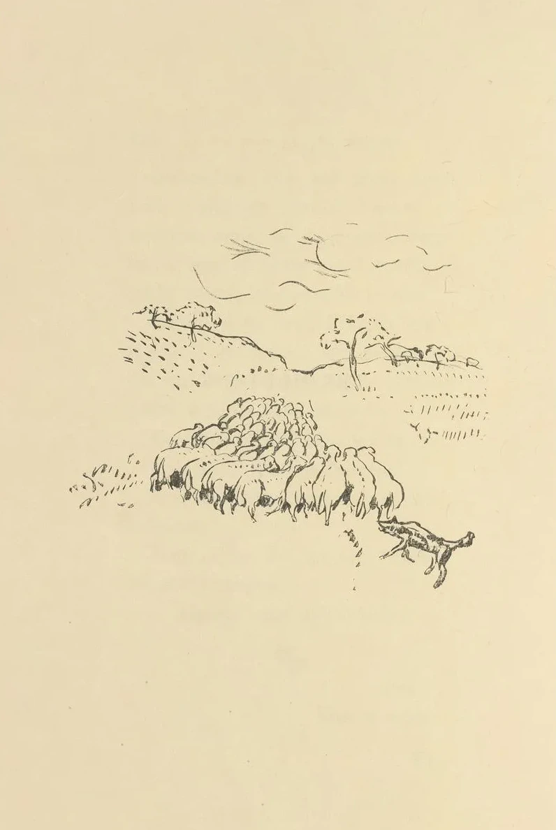 Histoires Naturelles Pl 24