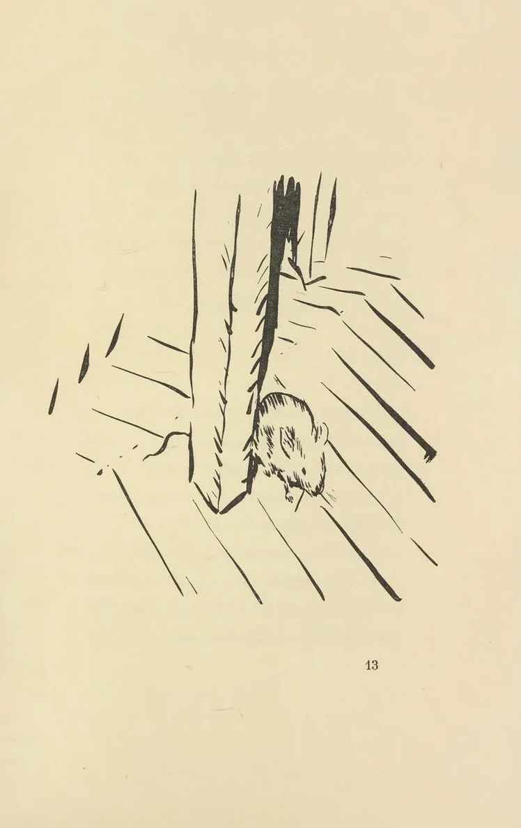 Histoires Naturelles Pl 27