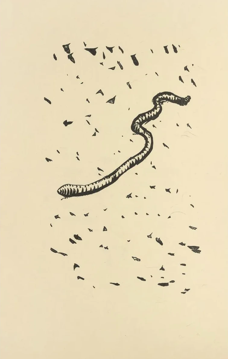Histoires Naturelles Pl 29