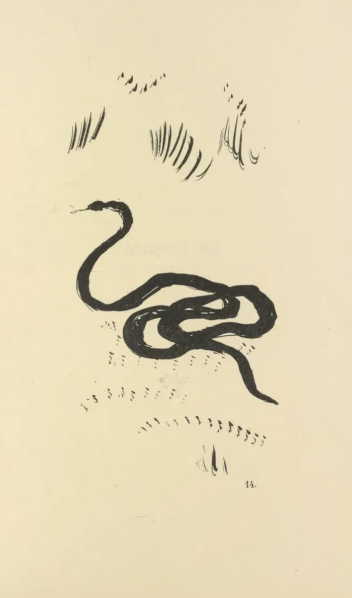 Histoires Naturelles Pl 30
