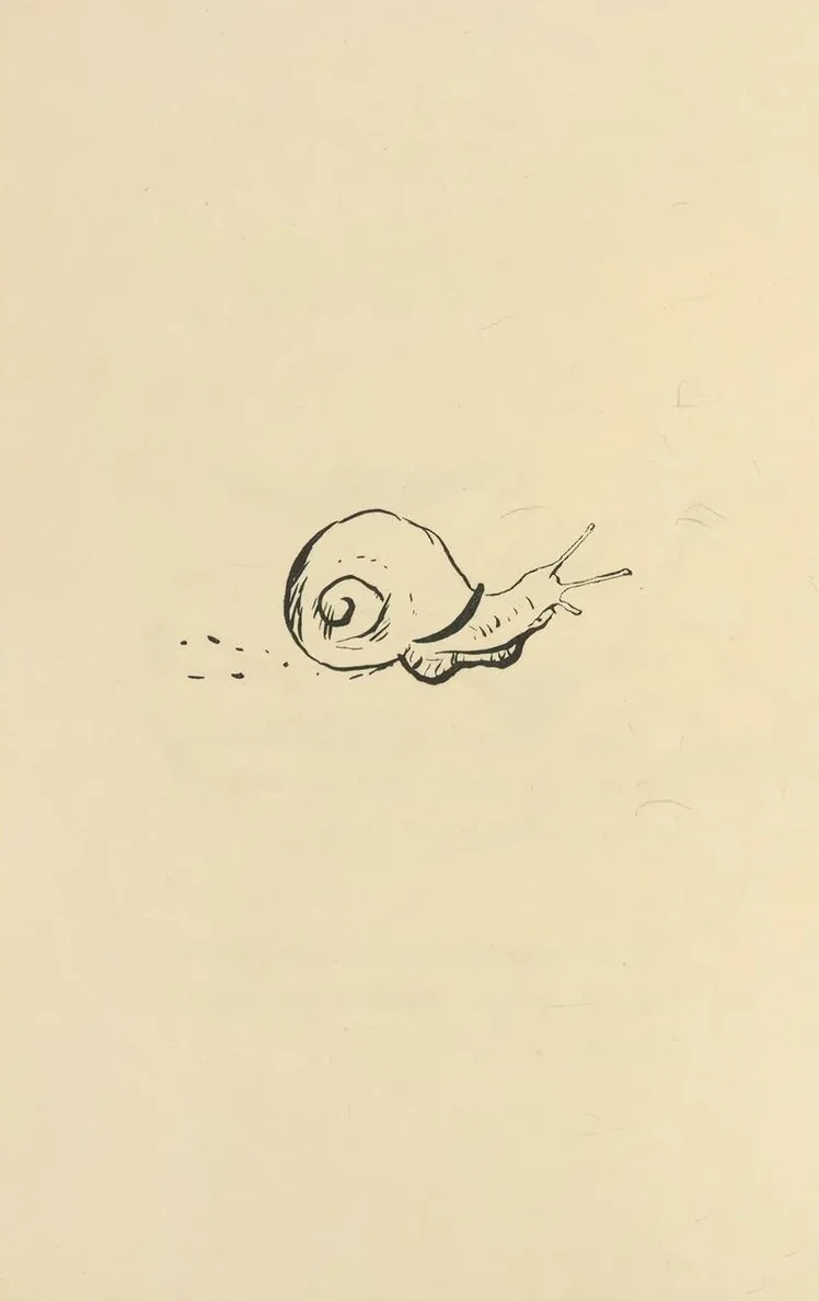 Histoires Naturelles Pl 32